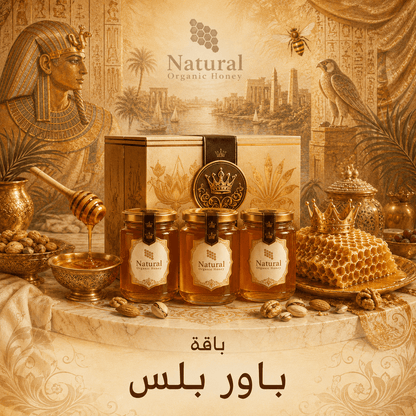 باقة باور بلس